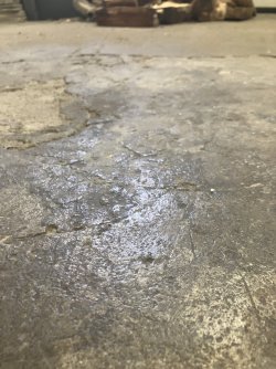 IMG_1399.jpeg