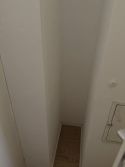 IMG_2609.jpeg