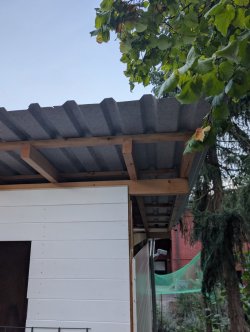 PXL_20260908_174340520.jpg