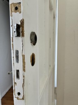IMG_3988.jpg