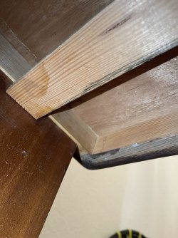 IMG_6064.jpeg