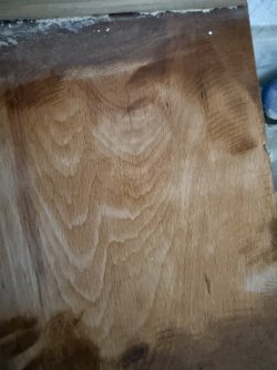 IMG_0373.jpeg