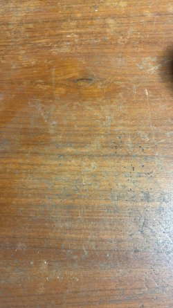 F7ED8D60-B707-4E1F-9EFB-170738EB5406.jpeg