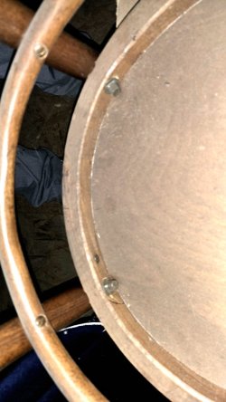Bugholzstuhl_07.JPG