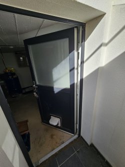 20260926_153917.jpg
