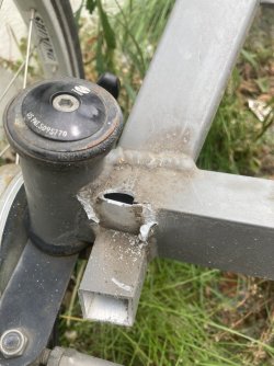 IMG_1055.jpeg