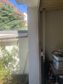 IMG_9143.jpeg
