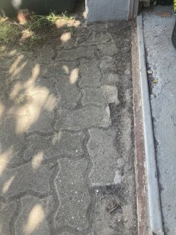 IMG_9144.jpeg