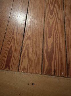 IMG_9164.jpeg
