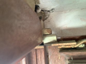 IMG_1613.jpeg