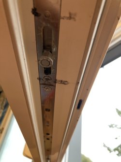 IMG_9320.jpeg