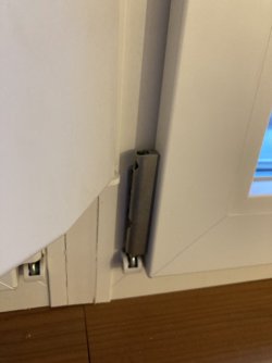 IMG_9321.jpeg
