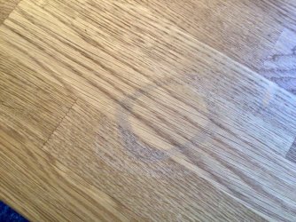 IMG_0244.jpeg IMG_0244.jpeg