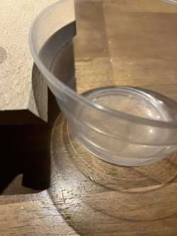 2026-10-18_20-46-10_785.jpg 2026-10-18_20-46-10_785.jpg