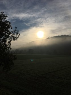 IMG_0974.JPG
