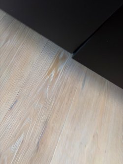 IMG_3807.jpeg