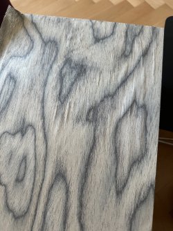 IMG_8793.jpeg