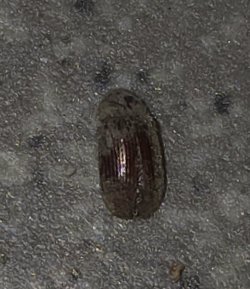 20261030_221238.jpg