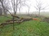 DSCN0729.JPG