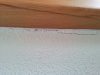 Treppe Risse Wandfuge 3.jpg
