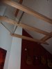 P1050417.JPG
