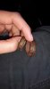 IMG-20151026-WA0000.jpeg