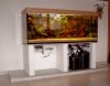 Neues_Aquarium_013.jpg