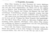 holzfehler ringschäle 001.jpg