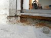 PA100018.jpg