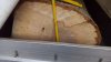 20160303_baumstamm-113145.jpg
