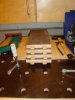 DSC08686.JPG