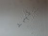 DSC09053.JPG