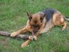 DSC00405.jpg