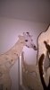 WP_20161118_16_57_30_Pro_LI.jpg