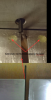 Bild-5.png
