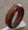 ring1_test.jpg
