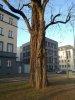 150220172932.jpg