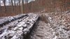 wald1.jpg