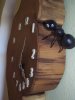 100_8050.JPG