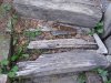 IMG_20170511_202657.jpg