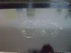 DSC00796.JPG