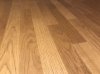 IMG_0811.jpg