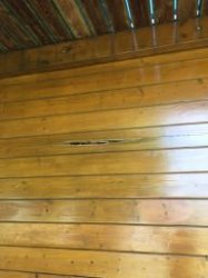 IMG_1983.jpg IMG_1983.jpg