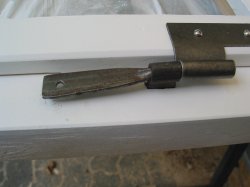 IMG_4174.JPG IMG_4174.JPG