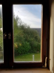 K800_20180917_092946.JPG