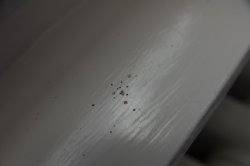 20180929IMGP9726.jpg 20180929IMGP9726.jpg