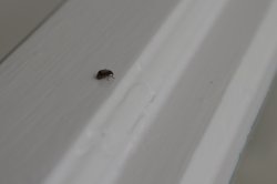 20180929IMGP9723.jpg 20180929IMGP9723.jpg