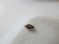 20180929IMG_8951.jpg