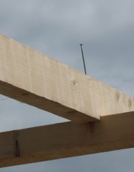 Kerve_II.jpg Kerve_II.jpg