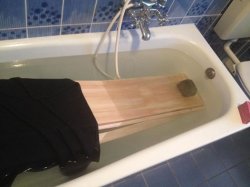 15697828_10209444777854113_5222582962914330378_n.jpg 15697828_10209444777854113_5222582962914330378_n.jpg